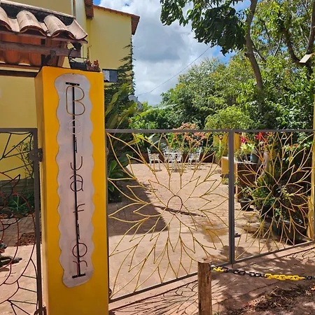 Beija- flor de Lençóis-3
